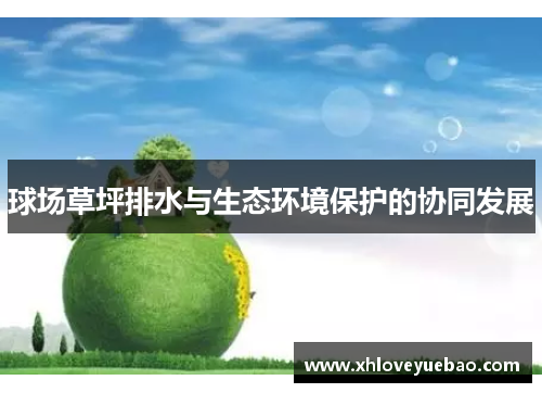 球场草坪排水与生态环境保护的协同发展